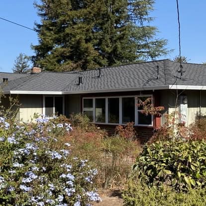 Single-story house with large windows surrounded by blooming blue flowers and greenery.